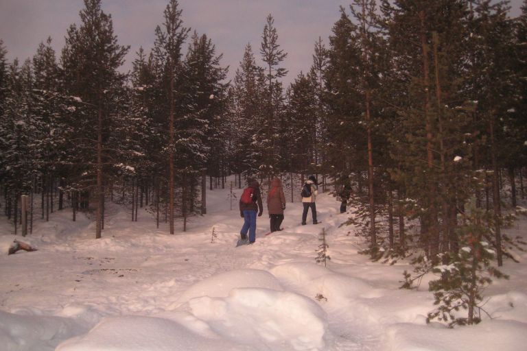 Наші екскурсії в Лапландії